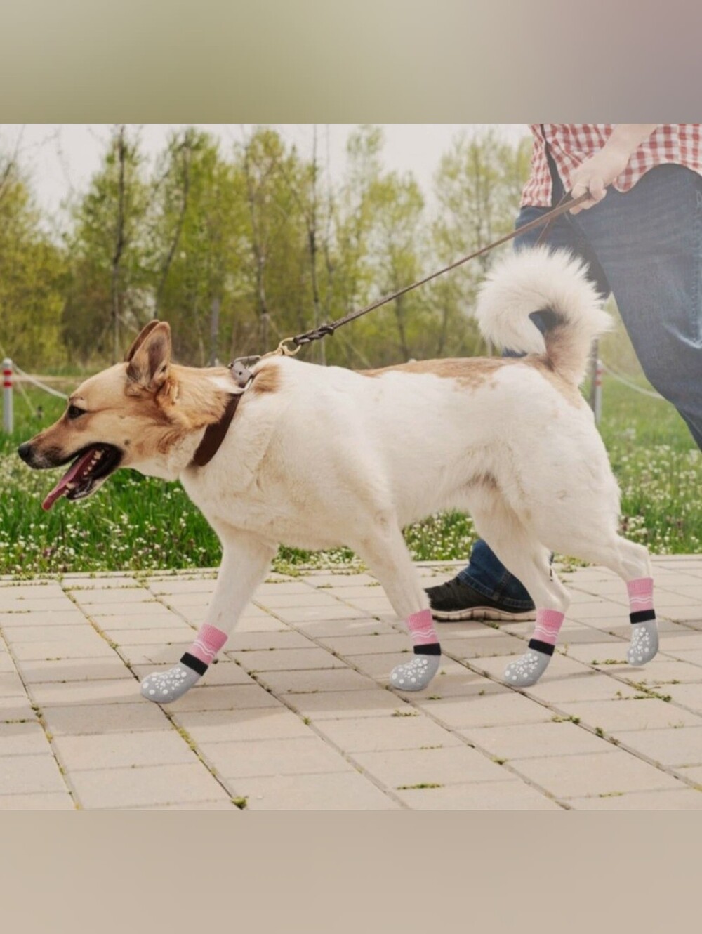 BINGPET Double Side Anti-Slip Dog Socks